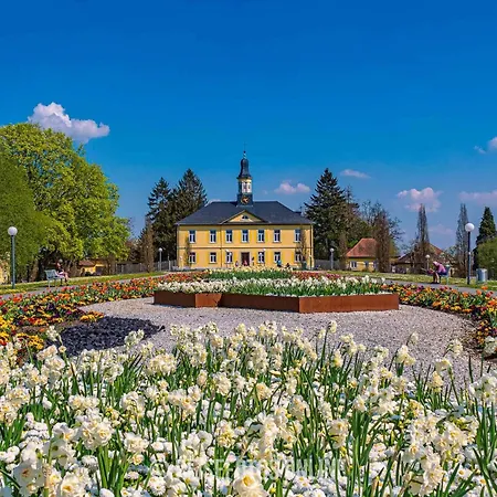 3-zimmerwohnung Naehe Kurpark *