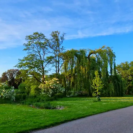 3-zimmerwohnung Naehe Kurpark 巴特拉珀瑙