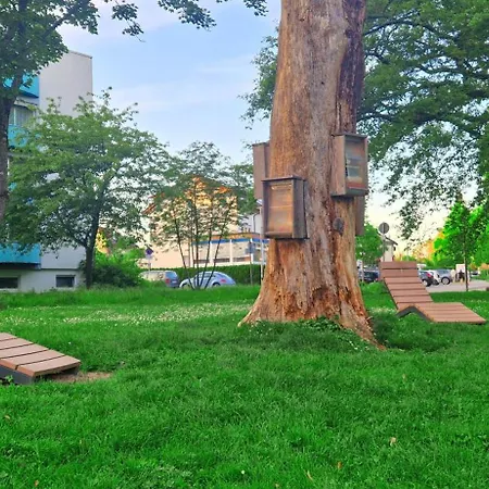 3-zimmerwohnung Naehe Kurpark * 巴特拉珀瑙